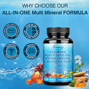 Sea Moss, Black Seed Oil, Ashwagandha & Burdock Root - Provide Energy and Enhance Immunity - Zayvia Beauty