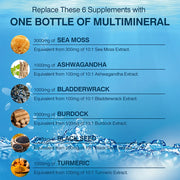 Sea Moss, Black Seed Oil, Ashwagandha & Burdock Root - Provide Energy and Enhance Immunity - Zayvia Beauty