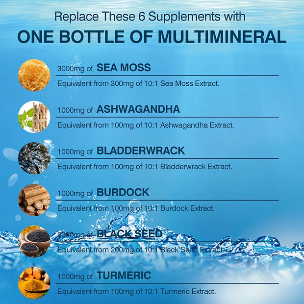 Sea Moss, Black Seed Oil, Ashwagandha & Burdock Root - Provide Energy and Enhance Immunity - Zayvia Beauty